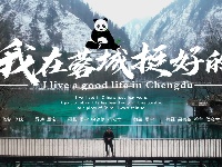 《 我在蓉城挺好的》宣传海报