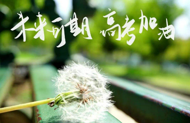 【直播回放】《招办主任@你》《直通高考》《直通高招》《云观校》