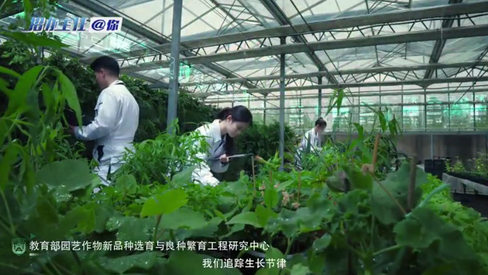 中国农业大学