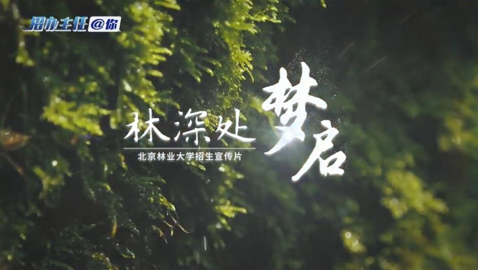 北京林业大学
