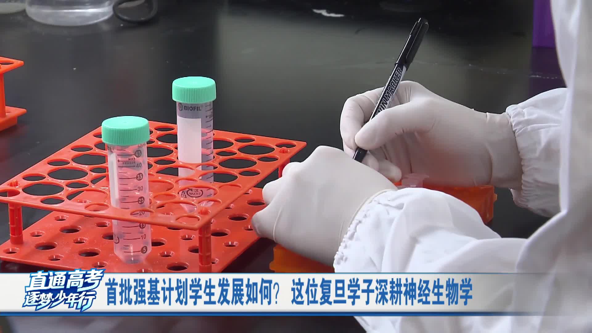 首批“强基计划”学生发展如何？ 这位复旦学子深耕神经生物学