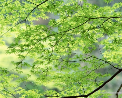 曾青生：美好的青春年华奉献给教育电视事业