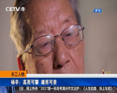 杨辛：高而可攀 雄而可亲