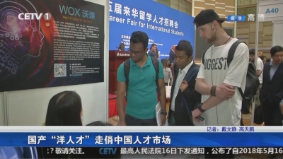 国产“洋人才”走俏中国人才市场