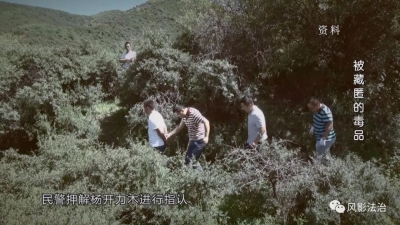 测试专题