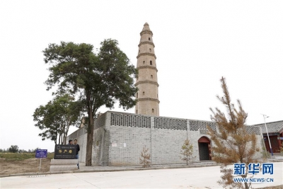 宁夏华寺村：做活“土”文章 村民享小康
