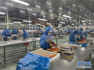 搬出来的幸福生活——桂西一易地扶贫搬迁安置点见闻