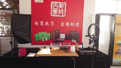 百城千县万村调研行 | 从“救命草”到“致富茶”
