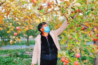 走向我们的小康生活丨贾俊美：发展庭院经济 过红红火火的日子