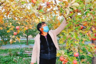 走向我们的小康生活丨贾俊美：发展庭院经济 过红红火火的日子