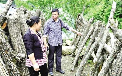 关键在人才 城口凝聚合力打赢脱贫攻坚战