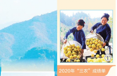 脱贫攻坚取得胜利后，要全面推进乡村振兴