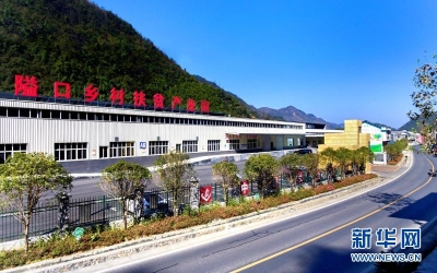 【脱贫攻坚答卷】电商成重庆秀山隘口镇贫困群众增收“新利器”