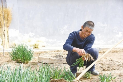 龙羊新村的小康故事