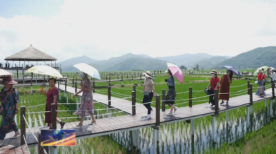 光东村：稻花香里奔小康