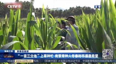 测试3